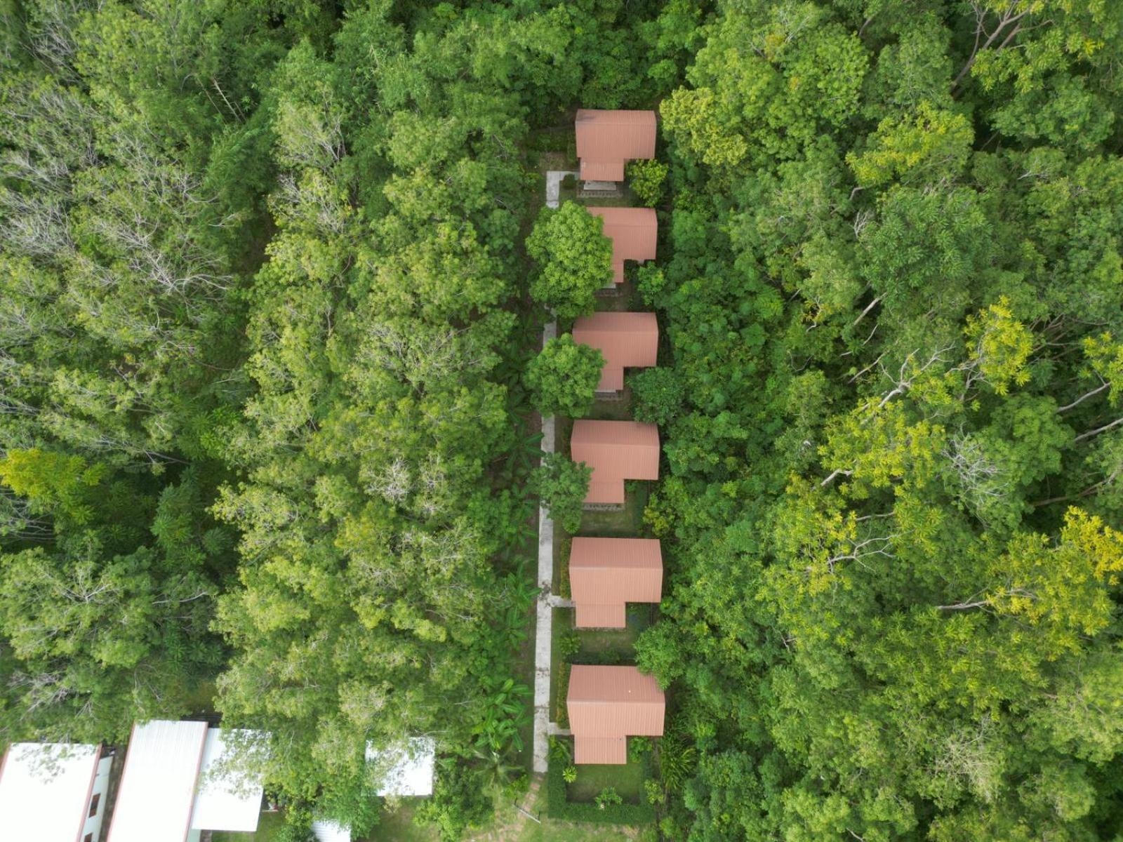 Zabit Bungalow Koh Lanta Exterior photo